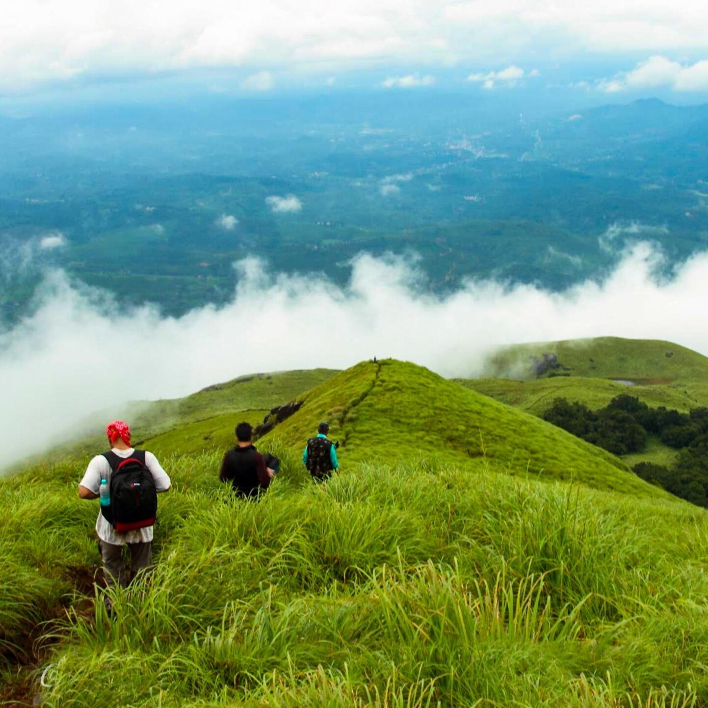 Chembra-Peak-Trek-1-scaled